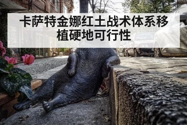 卡萨特金娜红土战术体系移植硬地可行性